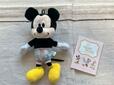 ミッキーのぬいぐるみとBOOK入り♪