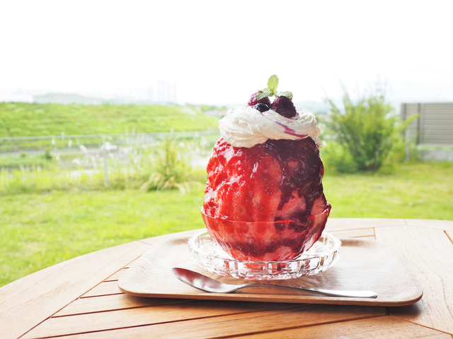 甘味のいえ 串竹「ベリーベリーカスタード」