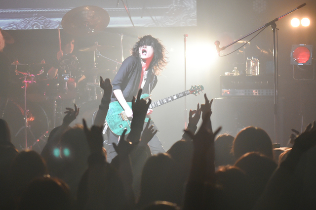 THE BLACK SWAN　樹／撮影・スズキメグミ