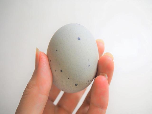 中華食材店で売っているピータン。中国製と台湾製があり、台湾製のほうが値段は高いが味は確か。６個で６００円程度