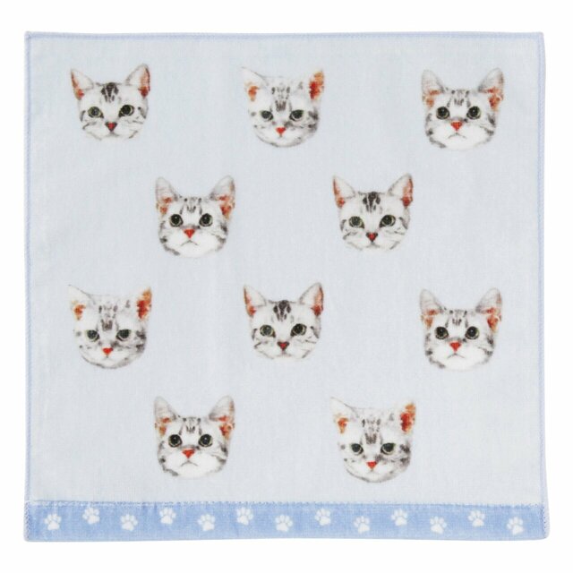 1位【Francfranc】バロット 抗菌防臭ハンカチ「 キャッツブルー」480円