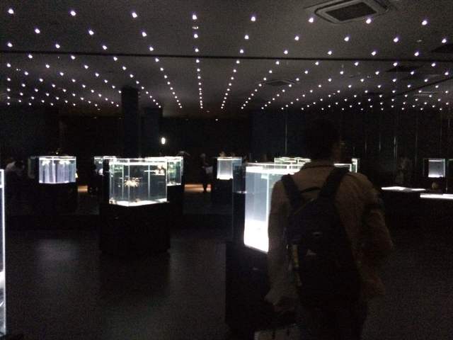 「すがたにふれる」ゾーン