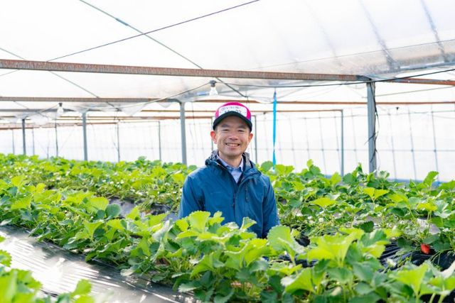 いちごマイスター