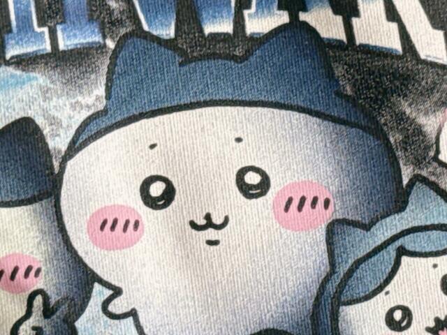 筆者イチオシのスポーツ刈りのハチワレ＝スポワレ。愛らしい〜！