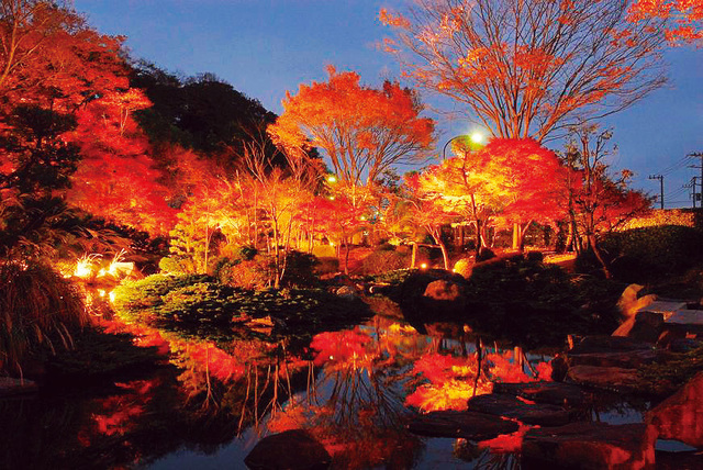 県立大磯城山公園内の不動池周辺