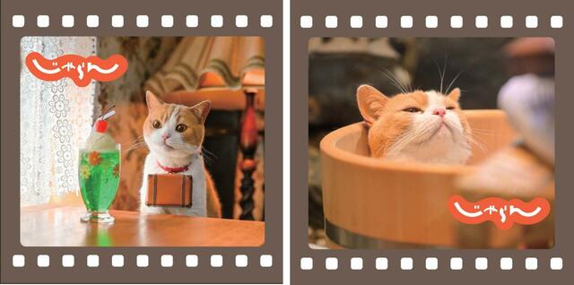 「“にゃらん”オリジナルステッカー」＜期間：2025年2月15日～3月24日＞【【2月22日は猫の日】グランスタ東京に「じゃらん」公式キャラクター“にゃらん”のスイーツ・グルメ・雑貨が大集合！】