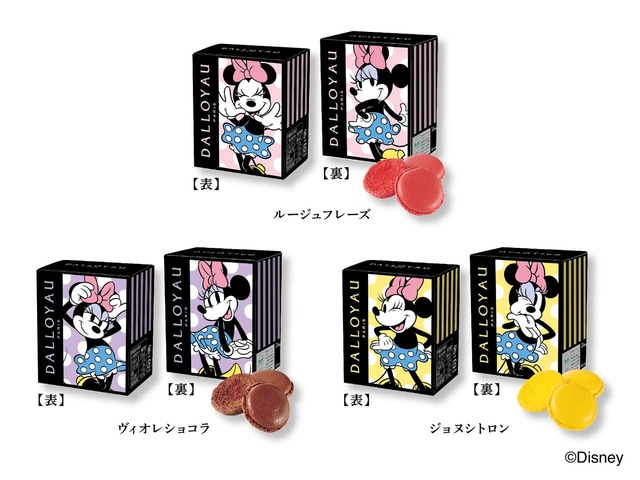 【ダロワイヨ】ルージュフレーズ、ヴィオレショコラ、ジョヌシトロンの3種類