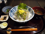浜与本店　外宮前店／生しらす丼