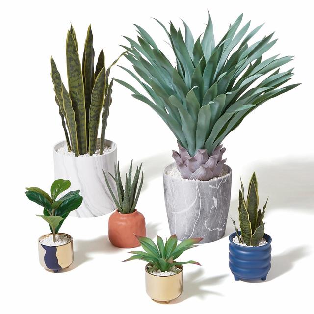 【Francfranc（フランフラン）】ポット付グリーン