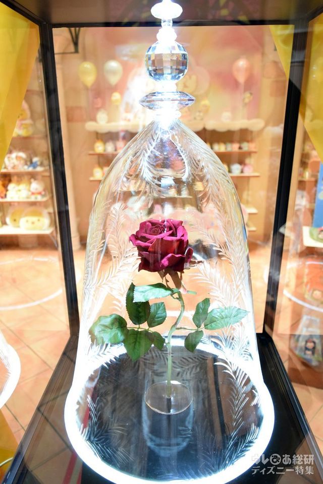 光があたってキラキラ輝く魔法のバラ