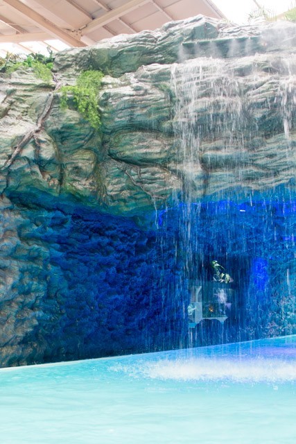 レインボーの滝をくぐって、青の洞窟へ