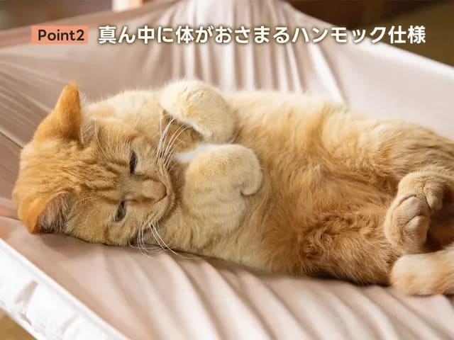 冬でも十分暖かいのもうれしい！夏は羽毛布団を外して、カバーだけでも快適に過ごせます