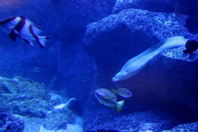 ぬるぬる＆にょろにょろな不思議ないきものたち