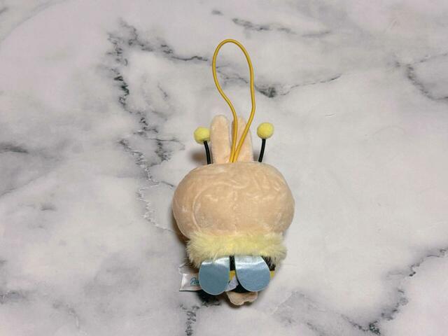 個人的な推しポイントは後ろ姿です！