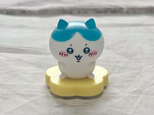 いつも元気で好奇心旺盛なハチワレ。かわいい〜！