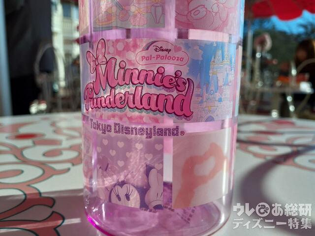 “ミニーのファンダーランド”スーベニアドリンクボトル