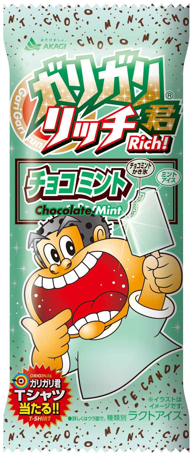ガリガリ君リッチチョコミント 