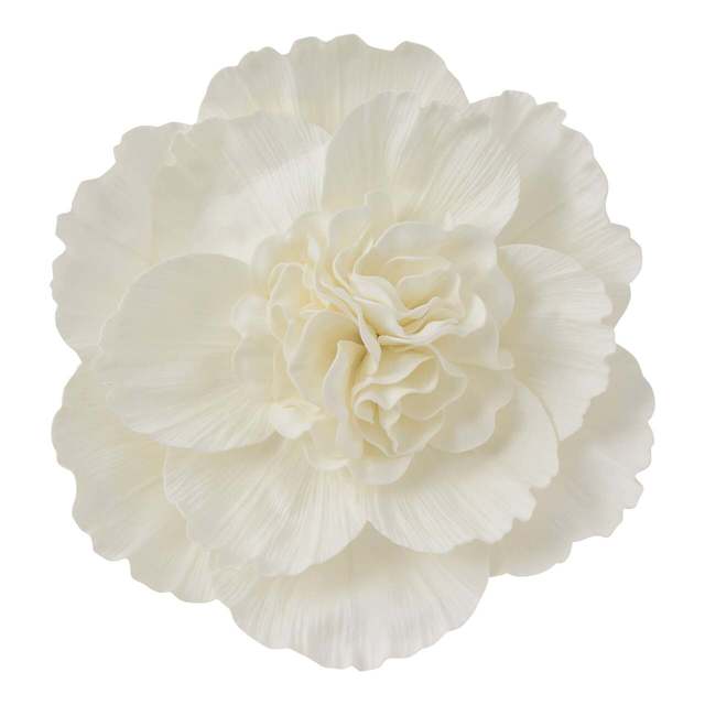 ウォールフラワー ピオニー