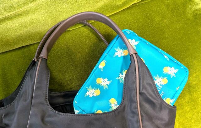 付録「Flora Notis JILL STUART ビッグコスメポーチ」大きめのバッグにもサッと入る