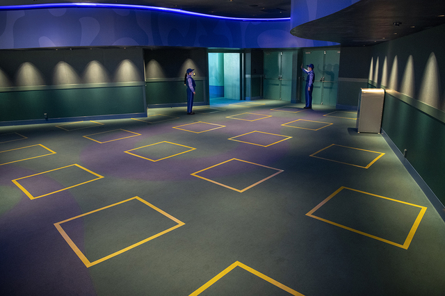 スティッチ・エンカウンター