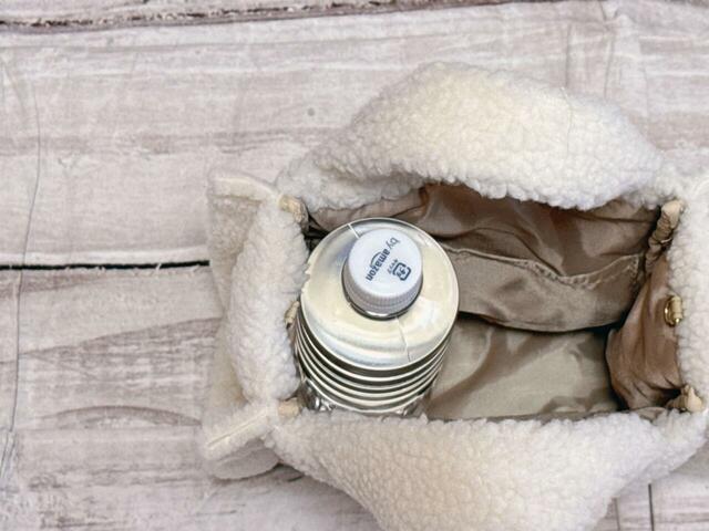 550mLのペットボトルをイン。頭が少し飛び出すサイズ感