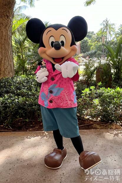 ハワイのディズニー・リゾートが最高すぎた♪ 今の“アウラニ”を