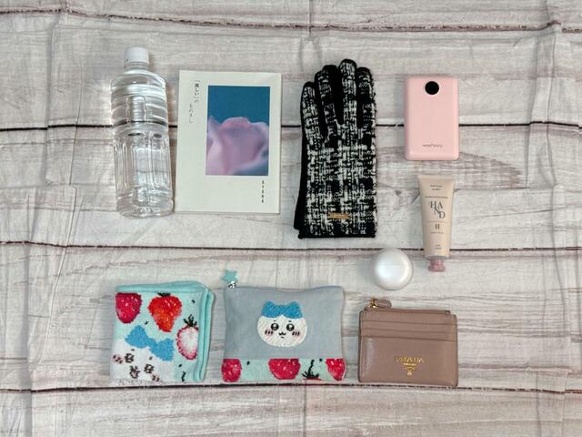 【しまむら×mofusand ミニトート】ちょっとしたお出かけの際の荷物を収納してみると…⇒