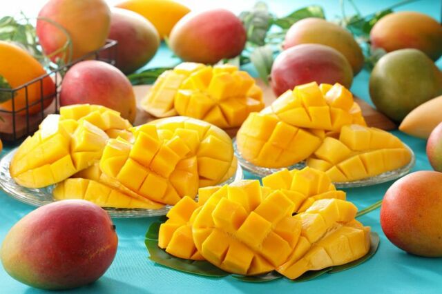 毎年大人気のマンゴー<⼤⼈3,200円~ / ⼩⼈1,800円~>【スイーツパラダイス「山形県産さくらんぼが新登場!鉾田市産メロン&マンゴー食べ放題」】