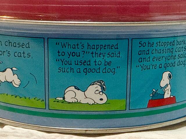 いつもと様子が違う表情のスヌーピーもかわいいですね♪