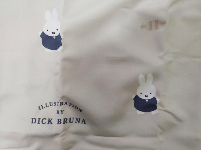 イラスト拡大図