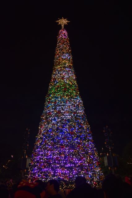 メインストリートUSAにそびえる大きなツリー ©Disney