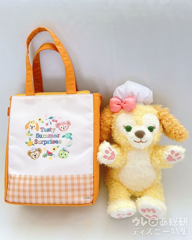 「ダッフィー&フレンズのテイスティー・サマー・サプライズ」のスーベニアランチケースサイズ感