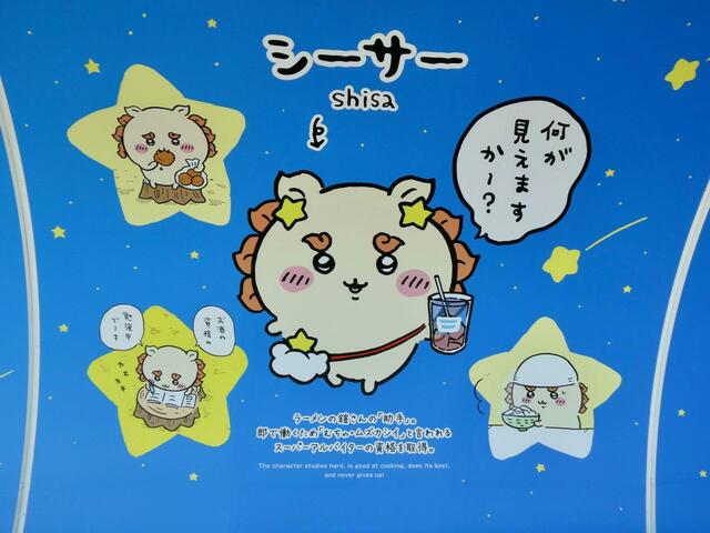 いつも資格の勉強やお仕事を頑張っているシーサーもイベントを楽しんでいます。両耳につけた星の飾りがキュート♪