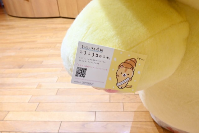 【サンエックスショールーム】コロニャと名刺交換もしました！