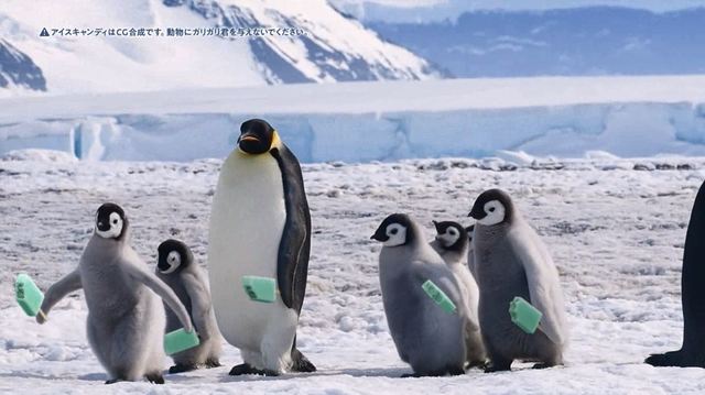 ガリガリ君リッチチョコミント