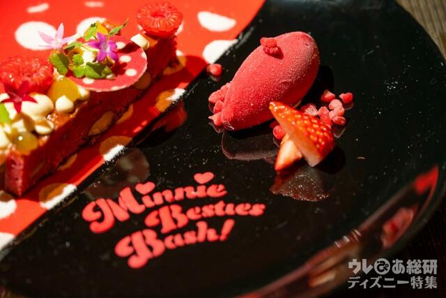 ルビーチョコレートブラウニーとフロマージュブランクリーム ラズベリーとビネガーのソルベ｜「カンナ」東京ディズニーランドホテル