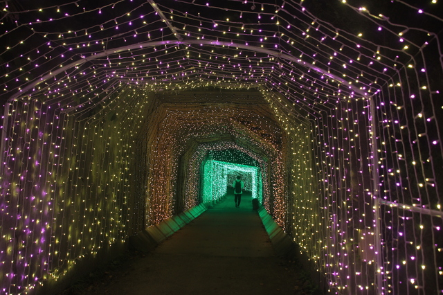 さがみ湖イルミリオン