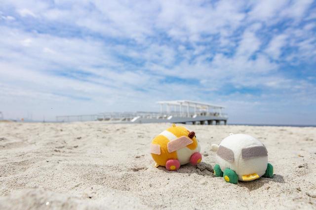 SUNSET BEACH PARK INAGE（稲毛海浜公園）