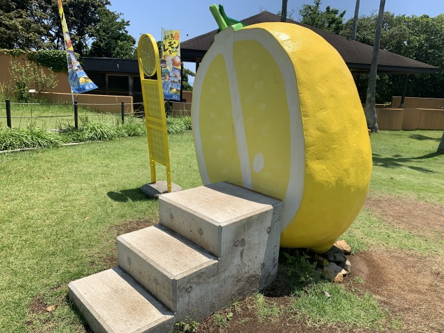 裏から登って写真を撮れる