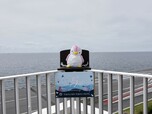 【東京ベイ東急ホテル】UMIKAZE TERRACEのフォトスポット