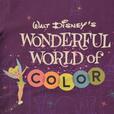 ティンカー・ベル 半袖Tシャツ パープル M L Disney100 The Eras Collection COLOR 5,610円