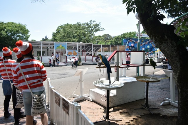 間近で鳥を見ることができる