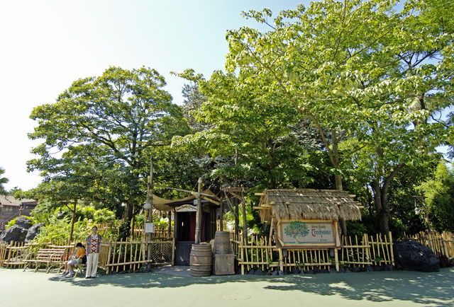 東京ディズニーランド「スイスファミリー・ツリーハウス」