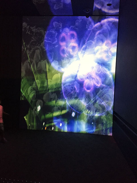 美しい! 「蜷川実花×クラゲ」の超幻想世界