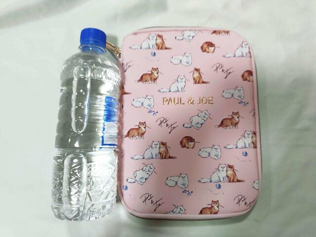 ペットボトルと同じくらいのサイズ