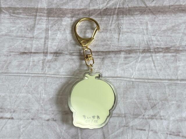 カブトムシの背面のカラーは淡いイエロー！